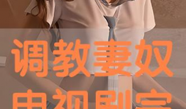 调教视频,解锁技能提升之道