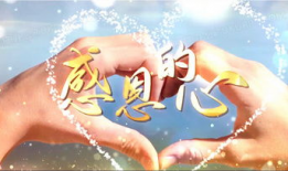 歌曲感恩的心视频,传递爱与温暖的旋律之旅