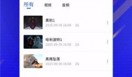 本地视频播放器,功能解析与使用心得