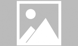 中村静香视频,魅力四溢的日本女神，视频中的惊艳瞬间