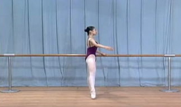 形体视频,塑造完美身姿的秘诀全解析