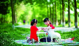 青草在线观看视频,探寻自然之美，共赏生态盛宴