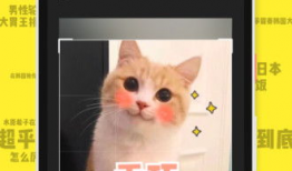 免费搞笑视频,笑点满满，欢乐无限