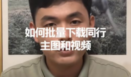 搞批视频,一场视觉与思维的盛宴