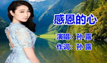歌曲感恩的心视频,传递爱与温暖的旋律之旅