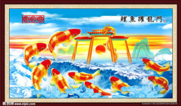 鲤鱼跃龙门视频,见证奇迹的瞬间