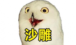 沙雕小视频,欢乐无限，笑点爆棚的短视频盛宴